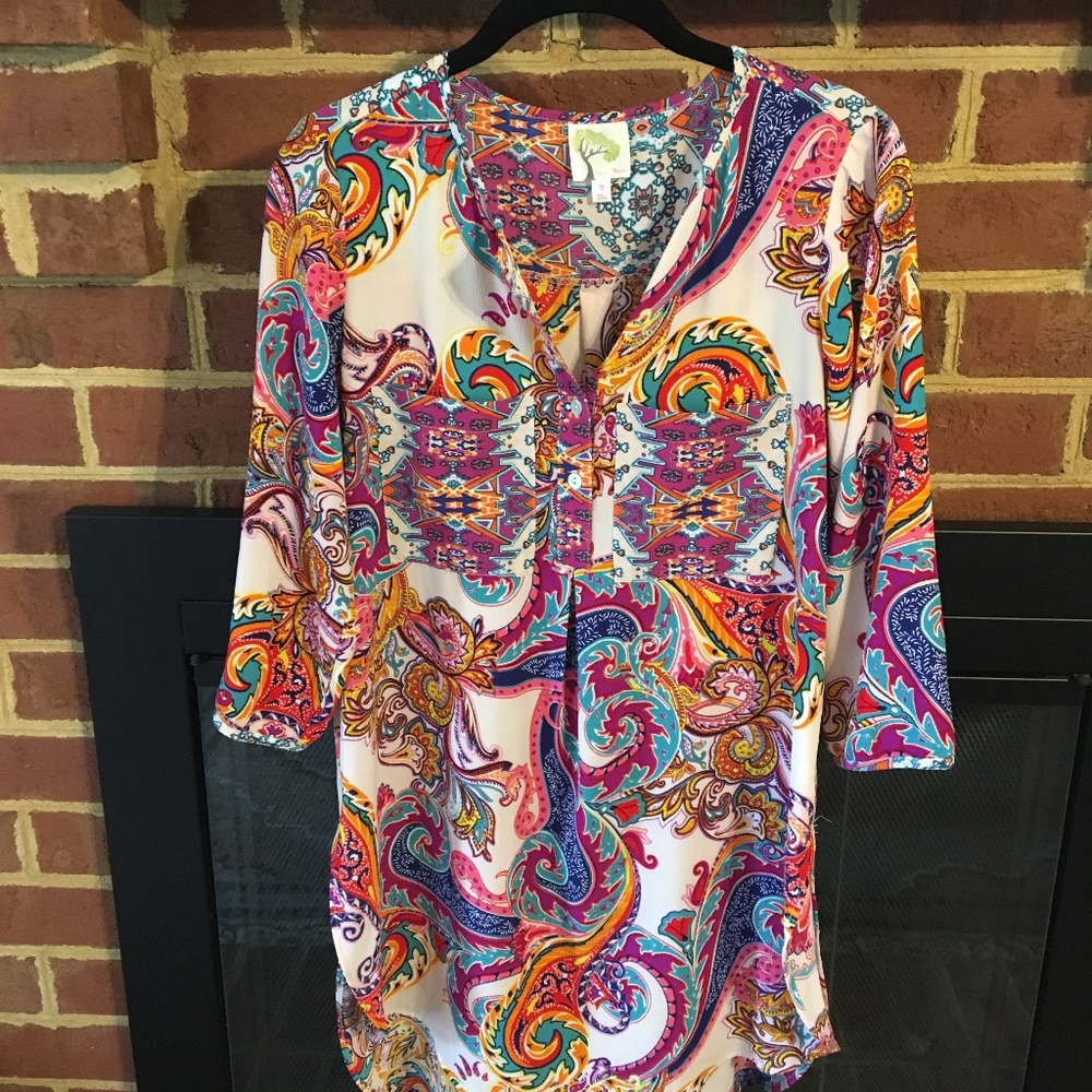 Fig and Flower Paisley Blouse